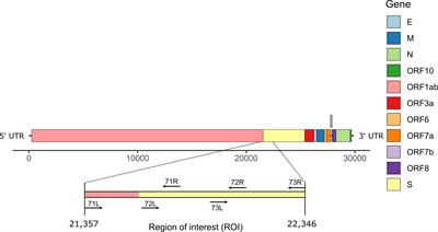 Investigating the Extent of Primer Dropout in SARS-CoV-2 Genome Sequences During the Early Circulation of Delta Variants